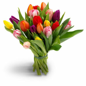 Boeket Tulpen